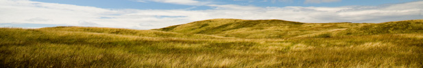 prairie